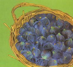 Seven Species, Figs, Painting Copy, Diana Shimon