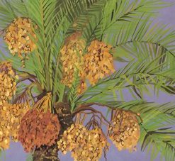 Seven Species, Dates, Painting Copy, Diana Shimon