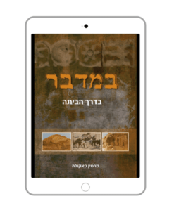 Numbers, Homeward Bound, Martin Pakula, Hebrew, E-Book